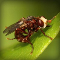 /album/sayhirapan/photolia-a06-jpg/