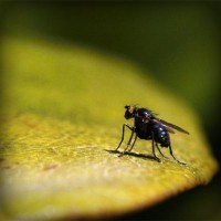 /album/sayhirapan/photolia-a07-jpg/